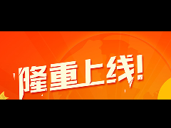 <strong>热烈祝贺我公司网站全面改版升级上线</strong>